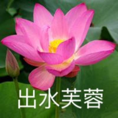 女神星球vr下载安装